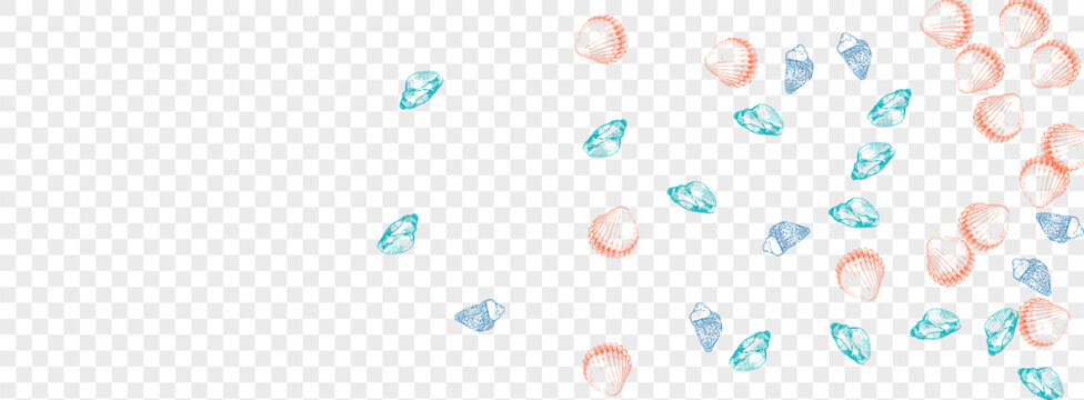 Orange Shellfish Background Transparent Vector. Clam Sketch Textile Card. Print Texture. Navy Oyster Exotic Design. Red Scallop.