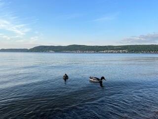 landscape with river