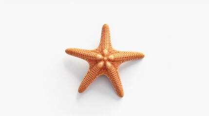 Fototapeta na wymiar Starfish on sand isolated on transparent or white bacground.Generative AI