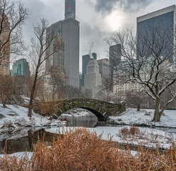 Foto op Plexiglas Gapstow Brug Gapstow Bridge in Central Park