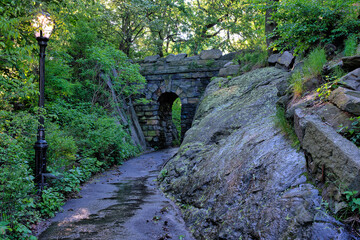 Central Park in spring