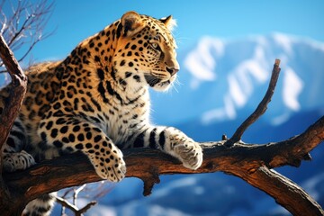 A large leopard sitting on top of a tree branch