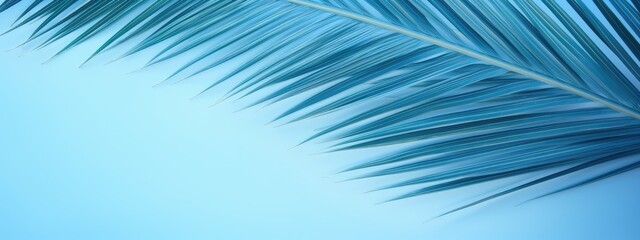 A close up of a palm leaf against a blue sky