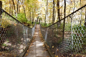 The swinging bridge on the trail in the forest.