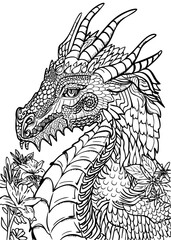 The Dragon vector hand drawing   coloring page ,black and white ,on isolated white background
