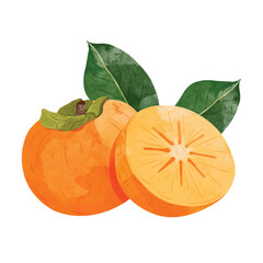 Persimmon fruit  Design elements. watercolour style vector illustration.