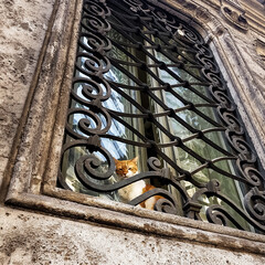 sguardi... @ palazzo doria pamphilij - via del corso, roma