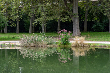 Unterer Schlossgarten