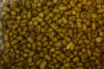 Green moong daal or dal, pulses soaked in water in a metal steel vessel, closeup