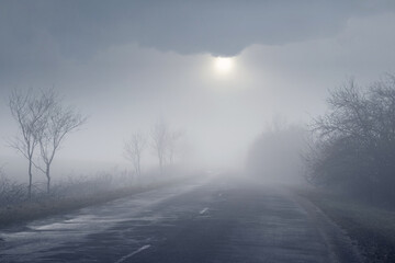 Fototapeta na wymiar Spring landscape, the sun peeks through the thick fog and illuminates the trees by the road