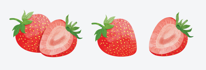 strawberry Design elements. watercolour style vector illustration.