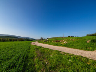 Farming Fields in North Israel