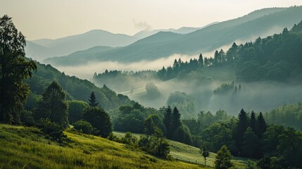 Misty morning light gently envelops lush green mountains, creating a serene and tranquil landscape - obrazy, fototapety, plakaty