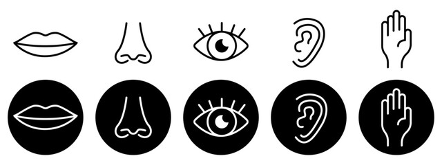 Five senses vector icons set. Hearing, touch, taste, smell, sight. Hand, eye, nose, mouth. Vector icons EPS 10 - obrazy, fototapety, plakaty