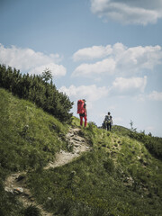 Group of adult backpacker hiker persons walking through a mountain meadow in summer, Fatra Fatry Moundains