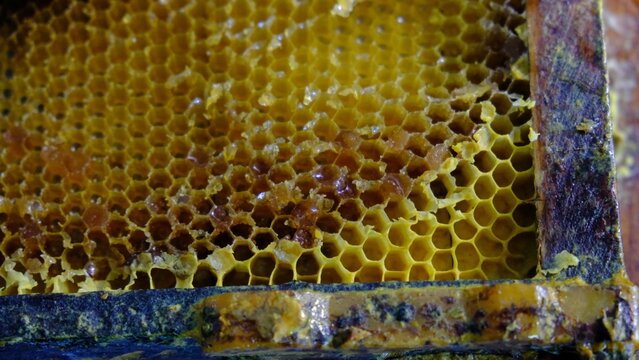Honey museum in a town in Navarra