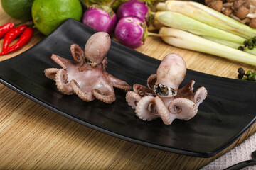 Delicous luxury seafood - boiled octopus