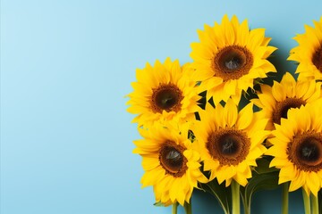 Solemnly Decorated Sunflowers for Ukraines Independence Day on a Light Blue Background