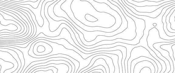 Topographic map background. Panorama view gradient multicolor wave curve lines banner background design. Line topography map design. - obrazy, fototapety, plakaty