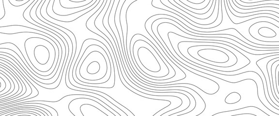 Topographic map background. Panorama view gradient multicolor wave curve lines banner background design. Line topography map design.