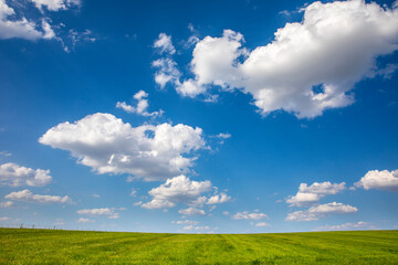Ciel bleu et nuages blanc au dessus des champs et le la campagne verte au printemps. - 700762637