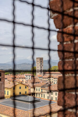 View from the inside of the guinigi tower in Lucca to the city