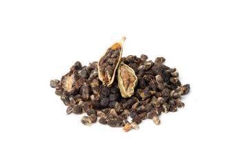 Cardamom Isolated, Green Cardamon Seeds, Dry Kardamon, Cardamum Spice, Genera Elettaria Beans
