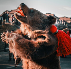 bear costumes worn for new years good luck dance in Romania - obrazy, fototapety, plakaty