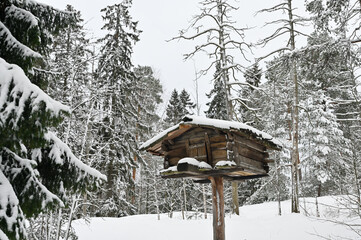 Traditional timber food cache on top of a tree trunk in the forest