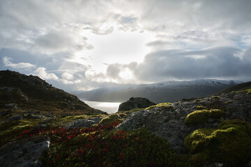 Fototapeta na wymiar Norwegen Landschaft