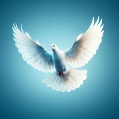 Obraz premium white dove flying