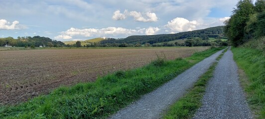 panorama of the landscape