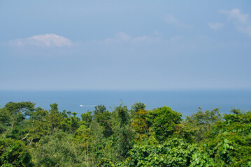 Fototapeta premium tioman jungle island