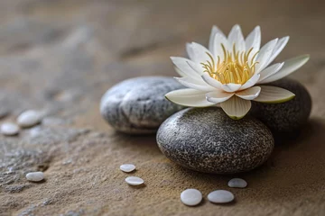 Foto op Plexiglas Background of sand with stones and lota flower, spa treatments for relaxation © Olga