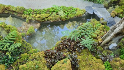 Moss gardens and ponds, rainforests, lush green nature.