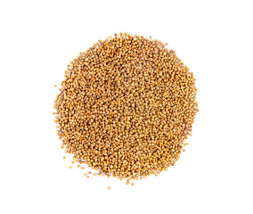 Coriander Seeds Isolated, Cilantro Grains, Chinese Parsley Seed Group, Dry Spices, Seasonings