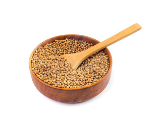 Coriander Seeds Isolated, Cilantro Grains, Chinese Parsley Seed Group, Dry Spices, Seasonings