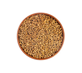 Coriander Seeds Isolated, Cilantro Grains, Chinese Parsley Seed Group, Dry Spices, Seasonings