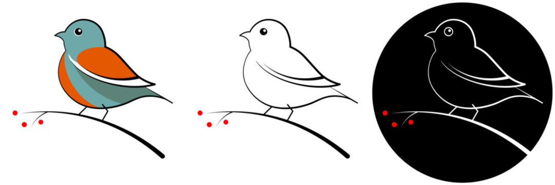 The little bird sits on branch with red berries. Simple outline sketch, vector minimalistic illustration. Three illustration options - black, white and color.