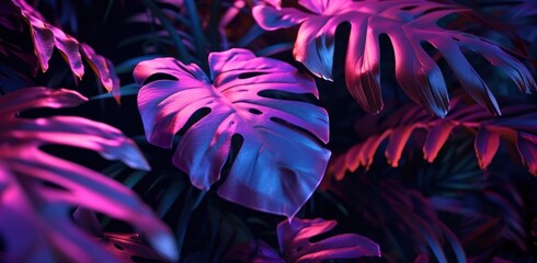 purple and pink background with tropical leaves