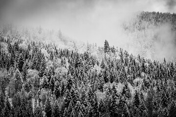 Blick auf die verschneiten Spitzen der Berge