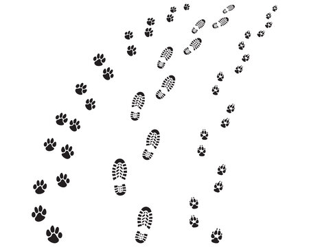 Shoe and dog paws prints, turn left or right