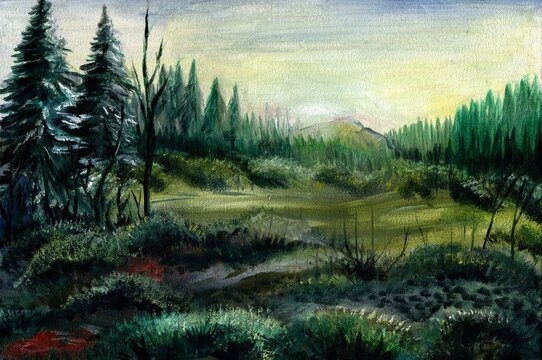 Beginning of autumn. View of an overgrown meadow and forest. Sunset on the horizon. Oil on canvas.