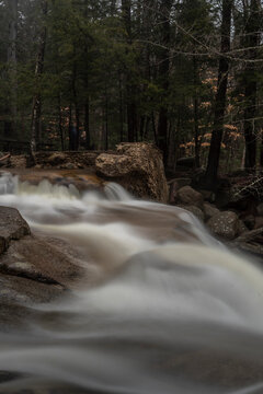river in the forest