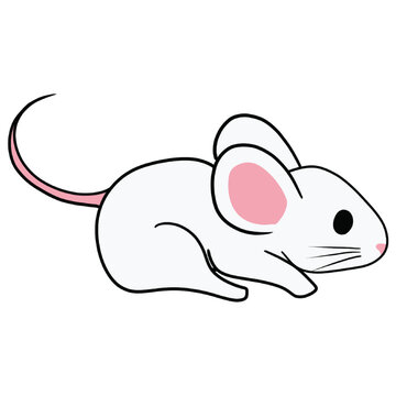 Cute Cartoon Mouse