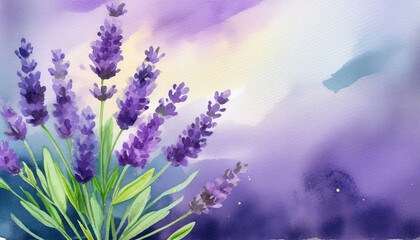 Violet fragrant lavender flowers, copy space, watercolor art style