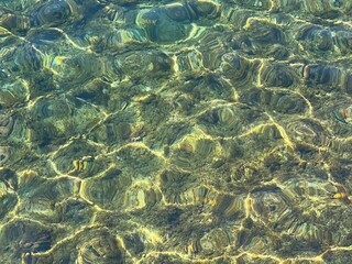 Seabed underwater clear water seaweed on the ocean floor. 