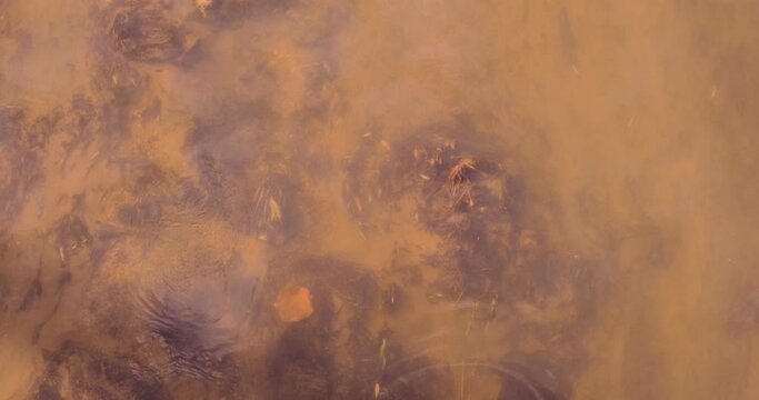 Water chemical pollution in river 