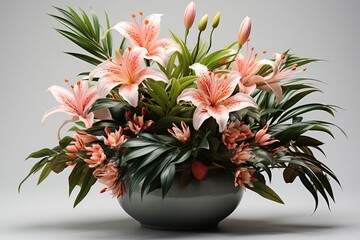 Flower pink lilies in a pot on a gray background