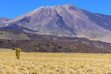 Obraz premium Volcán Tromen - Parque Provincial El Tromen - Neuquén